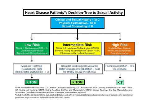 What Sex Is Safe For Heart Patients A New Approach Using The Kitomi Model