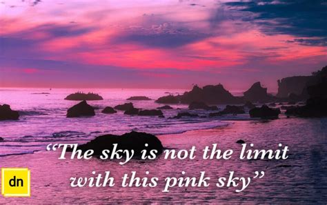 101 Best Pink Sky Captions And Quotes For Instagram The Daily Nairobi