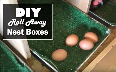 Diy Roll Away Nest Boxes