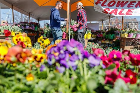 Lancaster Pennsylvania March 21 2018 Flowers Sale Flowers Shop At