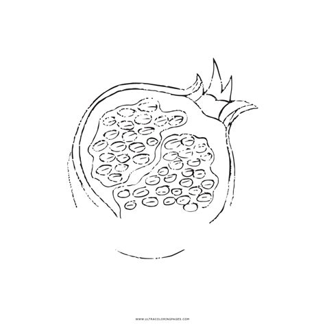 Pomegranate Coloring Page Ultra Coloring Pages