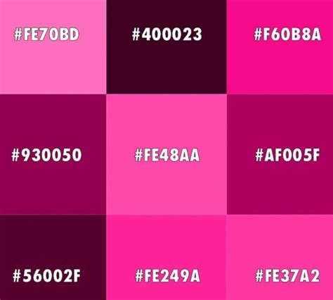 Todas Las Tonalidades Del Color Rosa Actualizado Abril 2024