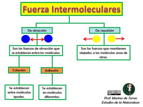 La Ciencia De La Vida Tema Nro 3 Fuerza Intermolecular