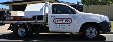 We are a family owned, locally operated company which is committed to service excellence. Pest Control Paddington | Pest Ex
