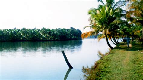 Chithari A Small Tropical Island And Backwaters In Kanhangad
