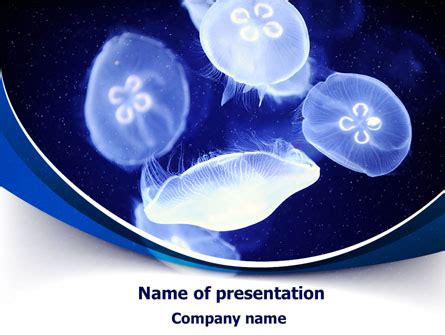 Check spelling or type a new query. Jellyfish Presentation Template for PowerPoint and Keynote ...