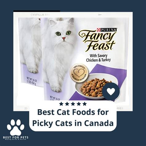 15 Best Cat Foods For Picky Cats In Canada In 2022