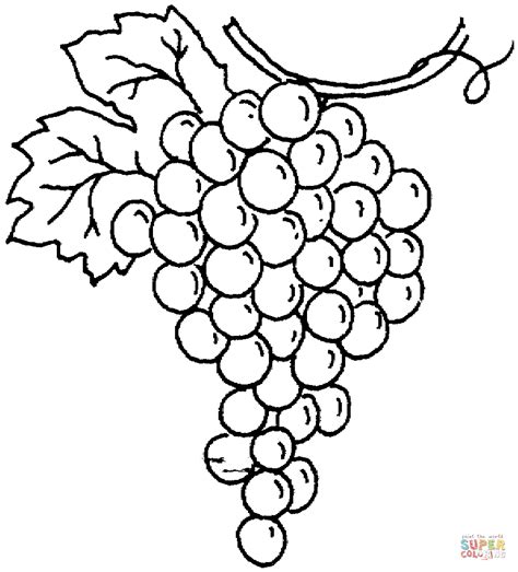 Print and color valentine's day pdf coloring books from primarygames. Grape 11 coloring page | Free Printable Coloring Pages
