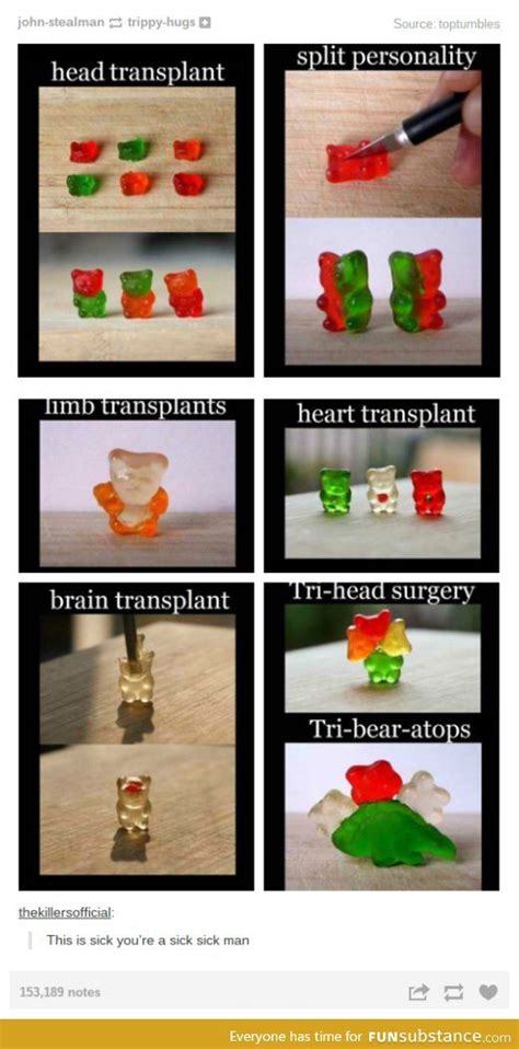 Gummy Bears Fusion Head Transplant Bear Meme Wil Wheaton Best Of