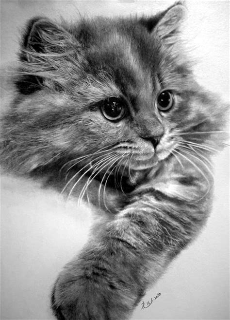 New Pencil Sketch Drawing Of Animals For Beginner Sketch Art Drawing