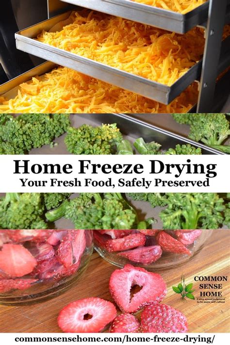 Home Freeze Drying Before You Buy A Freeze Dryer Read This Article
