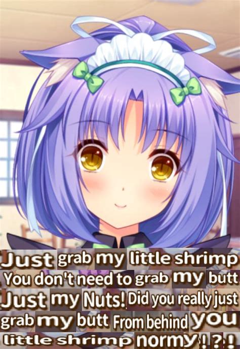 nekopara nekopara know your meme