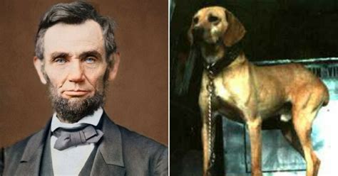 Dog Lovers Everywhere Owe Abe Lincoln A Big Thank You