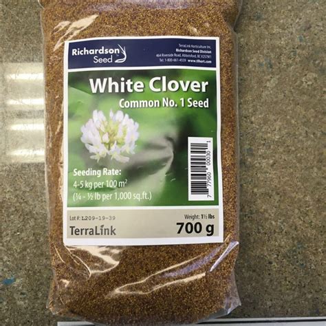 White Clover Seed › Anything Grows