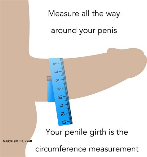 Average Penis Girth Length Sizes Rejuvall