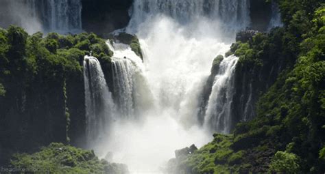 Iguazu Falls Landscape  By Head Like An Orange Find And Share On Giphy