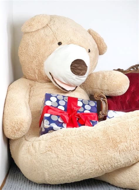 Best T For Girlfriend Giant Teddy Bear 3 5m