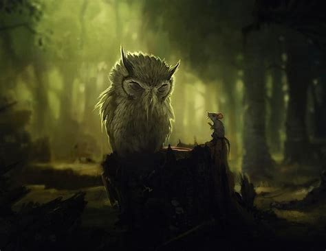 Fantasy Night Owl Anime Owl Hd Wallpaper Pxfuel
