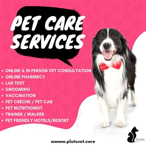 Pet Care Services In Kolkata Id 24626948412