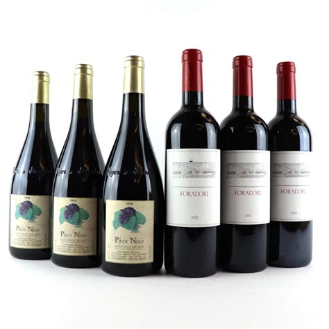 Assorted Trentino Red Wines 6x75cl Wine Auctioneer
