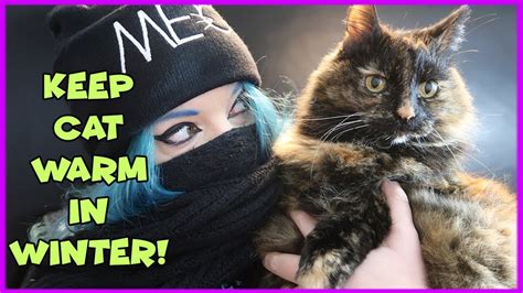 How To Keep Your Cat Warm In Winter Tips For Warming Your Cat And