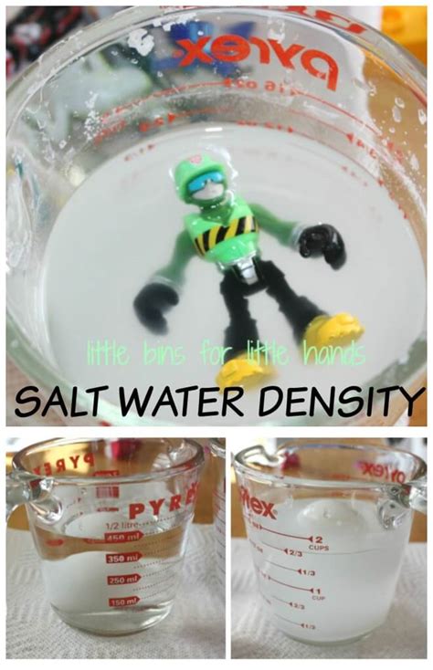 Salt Water Density Science Experiment Floating Egg