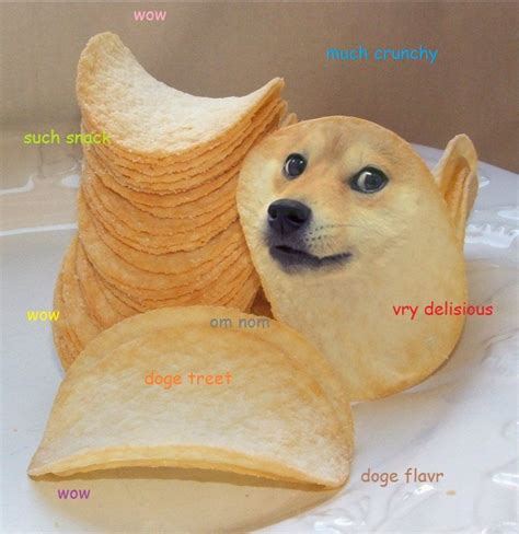 Funny Doge Doge Meme Funny Dog Memes Doge Much Wow Cute Funny