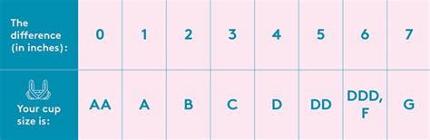 How To Measure Your Bra Size Bra Size Charts Band And Cup Measurement