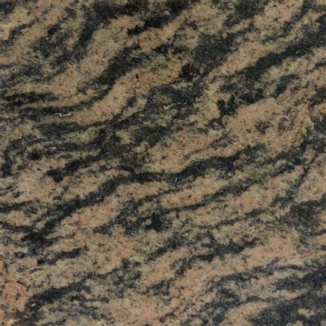 Tiger Skin Granite At Best Price In Chennai By Shiloh Granites And