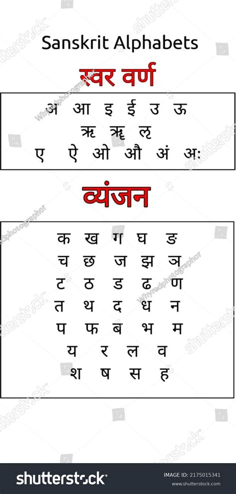 Sanskrit Alphabets Chartvowels Consonants Sanskrit Alphabetalphabets Stock Vector Royalty Free
