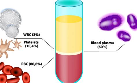 Blood Components Lifeserve Blood Center