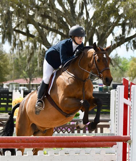 We did not find results for: Rolling Acres Farm: Hunter/Jumper Horse Boarding, Sales ...