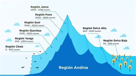 Las Regiones Geográficas Del Perú Geografía Infinita