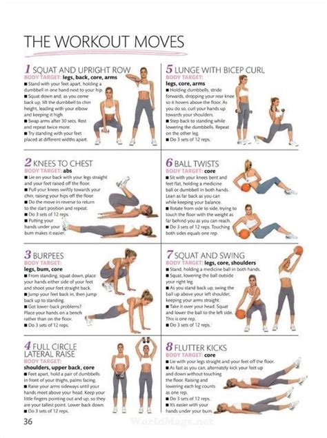 Animal Inspired Moves Workout Moves Exercise Fitness Body