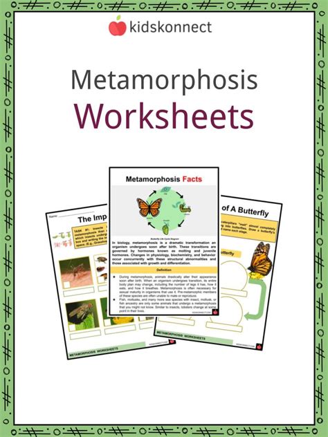 Metamorphosis Worksheets Definition Types Examples