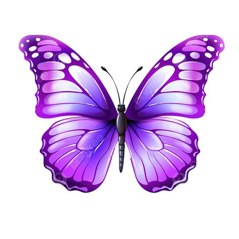Purple Butterfly Cute Purple Butterfly Violet Png Transparent Image