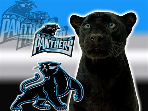 Panthers Carolina Panthers Logo Wallpapers Carolina Panthers