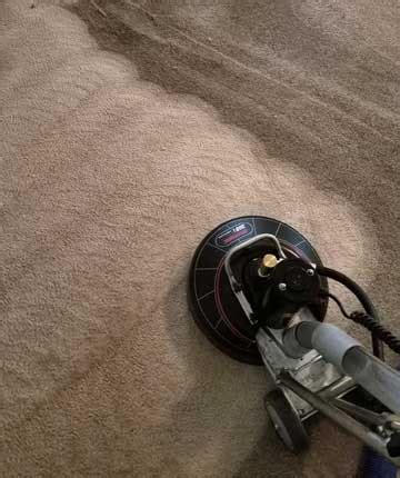 Carpet Cleaning Greenville NC True Clean Carpet Cleaning