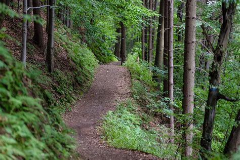 3840x2162 Dirt Green Trees Hiking Trail Rocks Trail Trees 4k