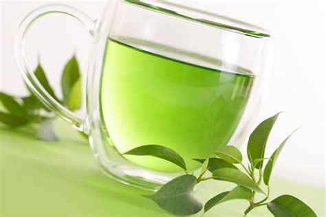 Green tea, just like black tea, is made from the leaves of the camellia sinensis plant, a small shrub native to china. What makes green tea popular? What's the health benefits ...