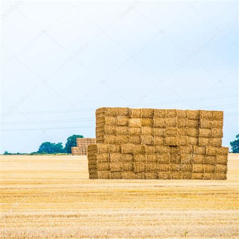 Large Pile Of Hay Bales — Stock Photo © Manuta 89311466