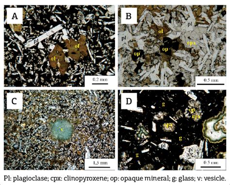 Pyroxene Plagioclase Thin Section