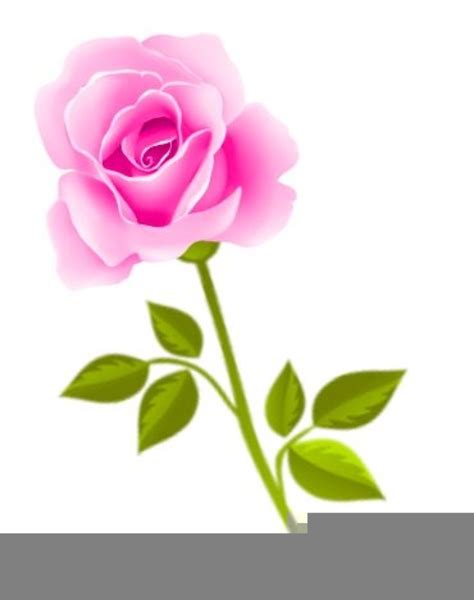 Purple Roses Clipart Free Images At Vector Clip Art