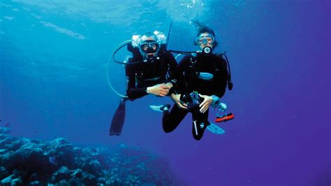 Dive In To An Underwater World Falcon Now Tui Holiday