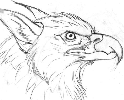 Griffin Profile By Sonicmaster23 On Deviantart