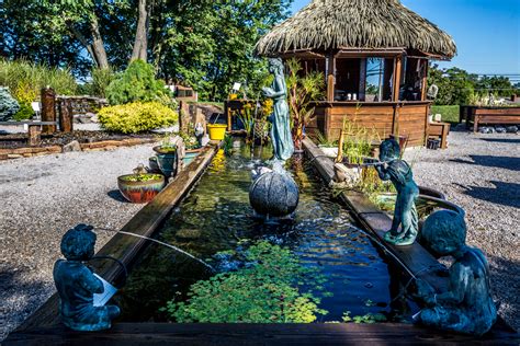 This Magical Aquatic And Garden Store Is A Decor Destination