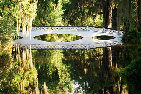 The Long White Bridge At The Magnolia Plantations And Gardens In