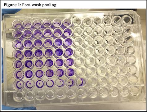 Pdf Developing A Crystal Violet Assay To Quantify Biofilm Production