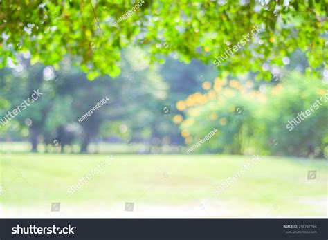 Garden Park Background Blur Summer Green写真素材258747794 Shutterstock
