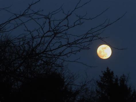 Full Moon By Nightbluedreams4102 On Deviantart